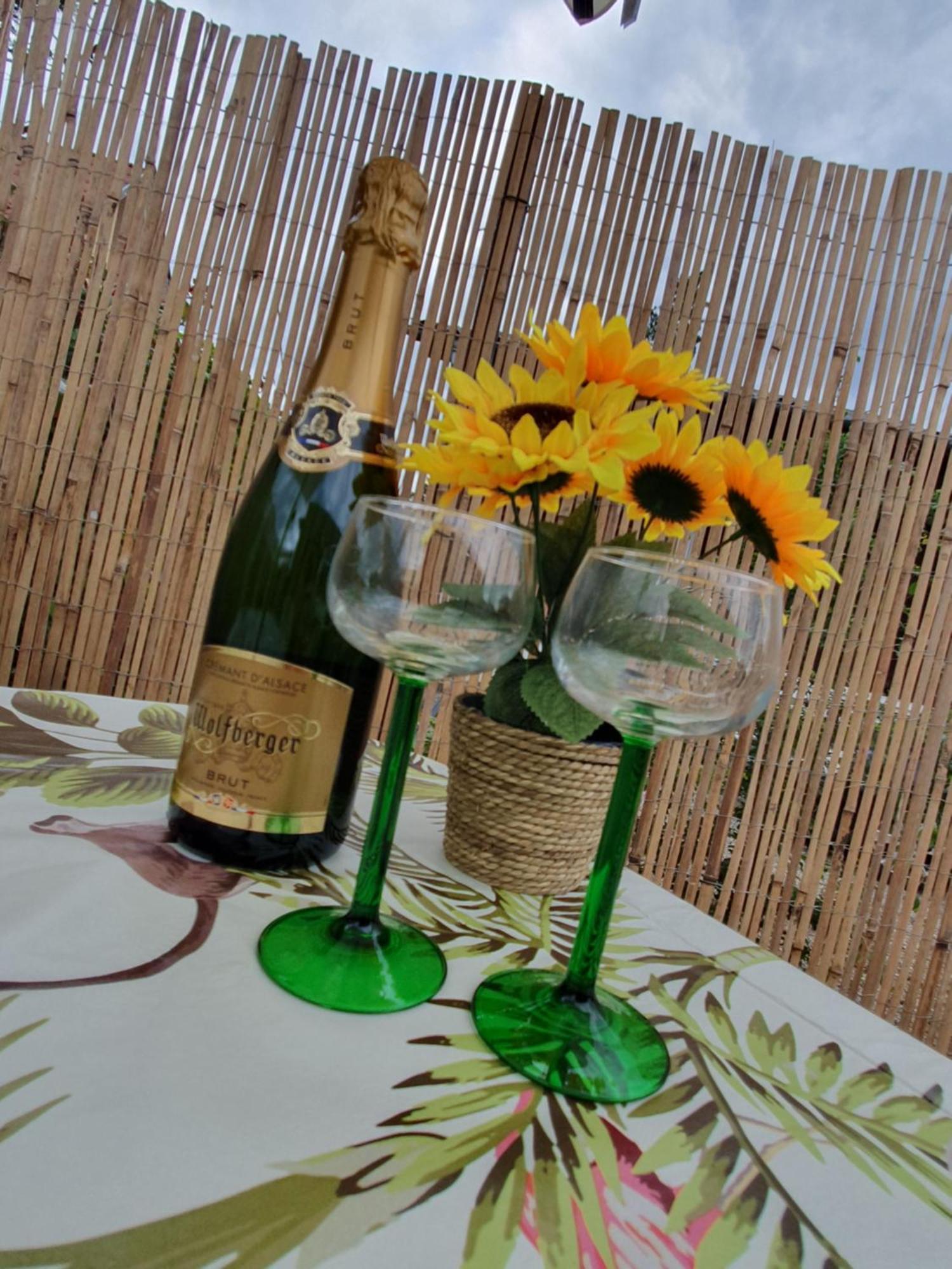 Studio Les Deux Grenouilles 5Mn De Colmar Herrlisheim-près-Colmar Zewnętrze zdjęcie