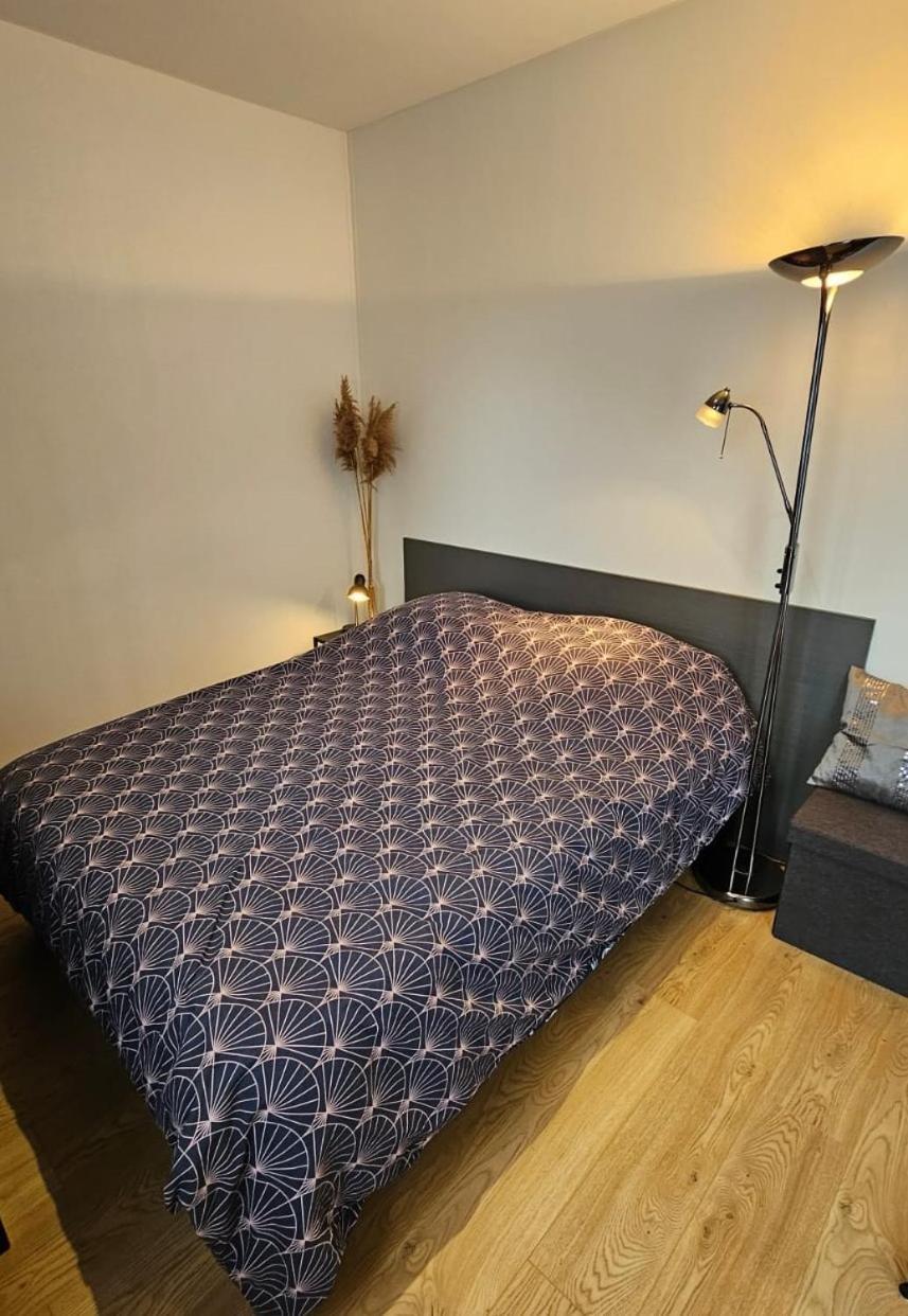 Studio Les Deux Grenouilles 5Mn De Colmar Herrlisheim-près-Colmar Zewnętrze zdjęcie